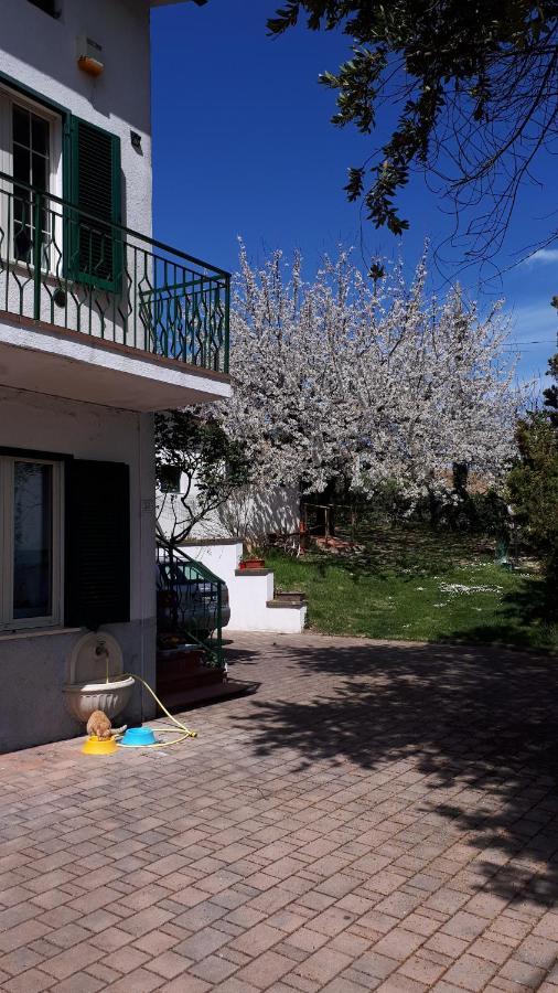 Il Ciliegio Del Pellegrino Apartment Губио Екстериор снимка